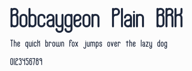 Bobcaygeon Plain BRK預覽圖