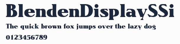 BlendenDisplaySSi預覽圖