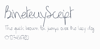 BinetruyScript預覽圖
