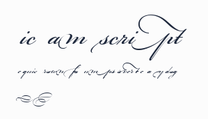 Bickham Script MM預覽圖