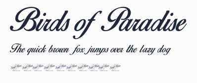 Birds of Paradise預覽圖