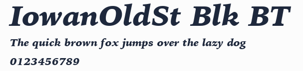 IowanOldSt Blk BT預覽圖