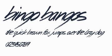 Bingo Bangos預覽圖