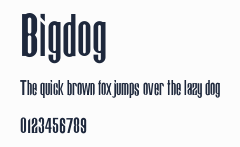 Bigdog預覽圖