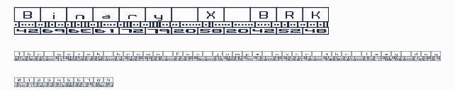Binary X BRK預覽圖