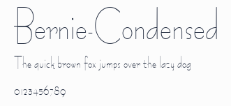 Bernie-Condensed預覽圖