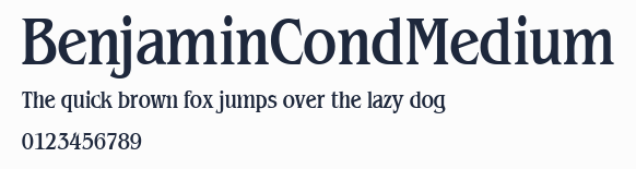 BenjaminCondMedium預覽圖