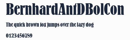 BernhardAntDBolCon預覽圖