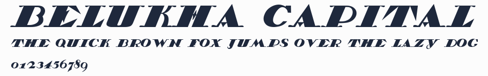 Belukha Capital預覽圖