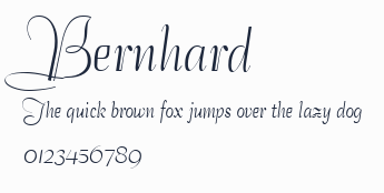 Bernhard預覽圖