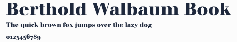 Berthold Walbaum Book預覽圖