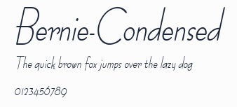 Bernie-Condensed預覽圖