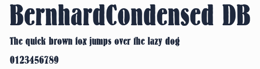 BernhardCondensed DB預覽圖