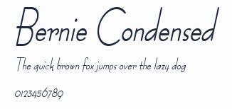 Bernie Condensed預覽圖