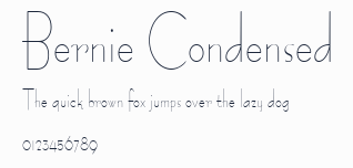Bernie Condensed預覽圖