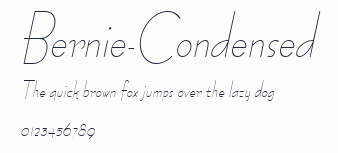 Bernie-Condensed預覽圖