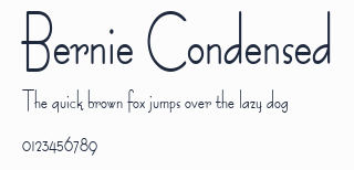 Bernie Condensed預覽圖