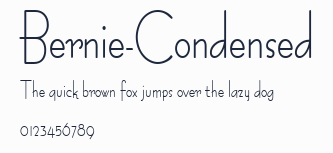 Bernie-Condensed預覽圖