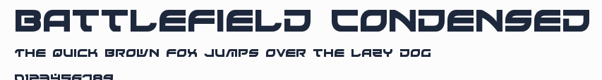 Battlefield Condensed預覽圖