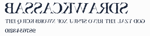 Bassackwards預覽圖