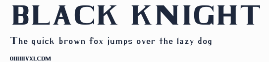 BLACK KNIGHT預覽圖