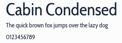 Cabin Condensed預覽圖