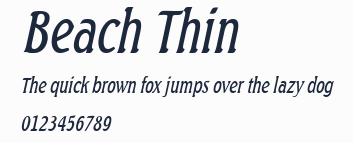 Beach Thin預覽圖