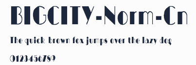 BIGCITY-Norm-Cn預覽圖