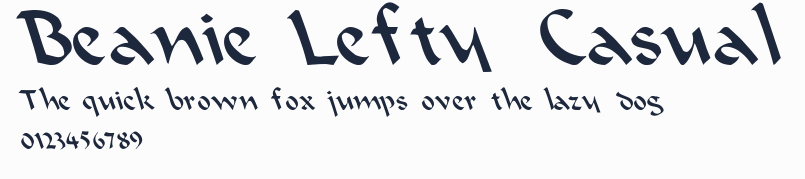 Beanie Lefty Casual預覽圖