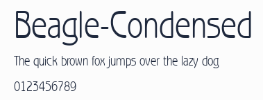 Beagle-Condensed預覽圖