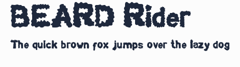 BEARD Rider預覽圖