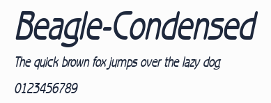 Beagle-Condensed預覽圖