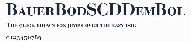 BauerBodSCDDemBol預覽圖