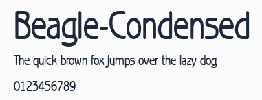 Beagle-Condensed預覽圖