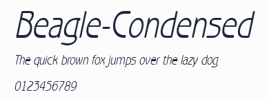 Beagle-Condensed預覽圖