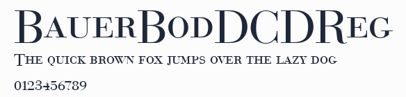 BauerBodDCDReg預覽圖