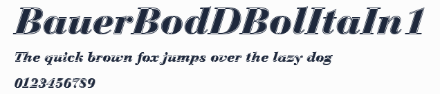 BauerBodDBolItaIn1預覽圖