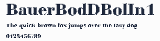 BauerBodDBolIn1預覽圖