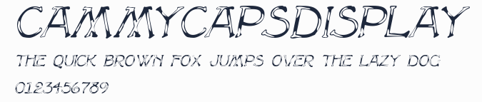 CammyCapsDisplay預覽圖