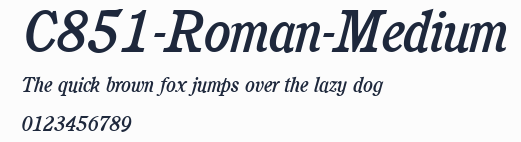 C851-Roman-Medium預覽圖