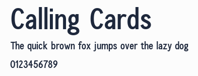 Calling Cards預覽圖