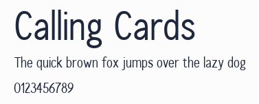 Calling Cards預覽圖