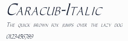 Caracub-Italic預覽圖