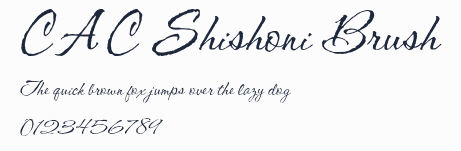 CAC Shishoni Brush預覽圖