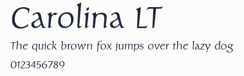 Carolina LT預覽圖