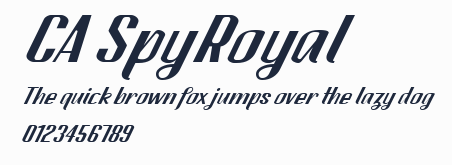 CA SpyRoyal預覽圖