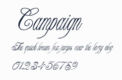 Campaign預覽圖