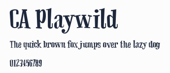 CA Playwild預覽圖