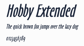 Hobby Extended預覽圖