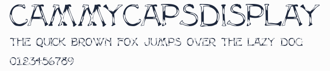 CammyCapsDisplay預覽圖